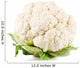 cauliflower vegetable 