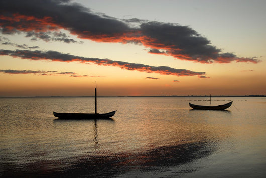 small moliceiro portuguese boats on the sunset Wall Mural