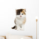 Front View of a Highland Straight Kitten Standing, Isolated Wall Decal