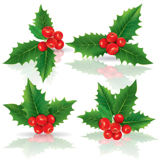 Holly berries Wall Decal