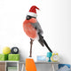 bullfinch Wall Decal