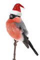 bullfinch Wall Decal