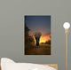 African Elephant Walking in Sunset 
