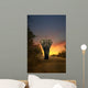 African Elephant Walking in Sunset 