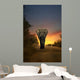 African Elephant Walking in Sunset 