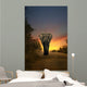 African Elephant Walking in Sunset 