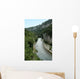Tarn Gorges Canyon near Wall Decal