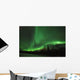 Aurora Polaris above Forest Wall Decal