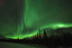 Aurora Polaris above Forest Wall Decal