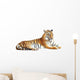 Tiger with clipping path on white background 
