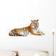 Tiger with clipping path on white background 