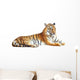 Tiger with clipping path on white background 