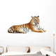 Tiger with clipping path on white background 