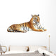 Tiger with clipping path on white background 