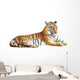 Tiger with clipping path on white background 