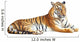 Tiger with clipping path on white background 