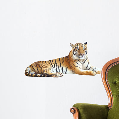 Resting Photo-realistic Tiger Wall Decal shown on a wall