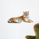 Resting Photo-Realistic Tiger Wall Decal