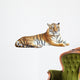 Resting Photo-Realistic Tiger Wall Decal