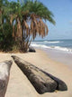 Plage Ile Denis Wall Decal