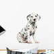 Side View of a Dalmatian Puppy Sitting, Looking at the Camera Wall Decal
