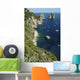 Capri Wall Decal Design 2