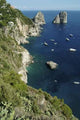 Capri Wall Decal Design 2