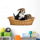 Two Beagle puppies Wall Decal