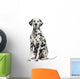 Dalmatian Sitting, Looking at the Camera, Isolated on White 