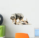 Border Collie and Australian Shepherd Playing Together, Isolated Wall Decal