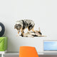 Border Collie and Australian Shepherd Playing Together, Isolated Wall Decal