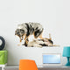 Border Collie and Australian Shepherd Playing Together, Isolated Wall Decal