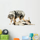 Border Collie and Australian Shepherd Playing Together, Isolated Wall Decal