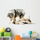 Border Collie and Australian Shepherd Playing Together, Isolated Wall Decal
