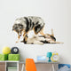 Border Collie and Australian Shepherd Playing Together, Isolated Wall Decal