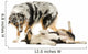 Border Collie and Australian Shepherd Playing Together, Isolated Wall Decal