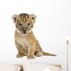 Lion cub sitting, looking at the camera, 16 days old, isolated 