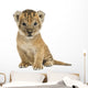Lion cub sitting, looking at the camera, 16 days old, isolated 