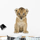 Lion cub, 4 weeks old, isolated on white Wall Decal
