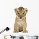 Lion cub, 4 weeks old, isolated on white Wall Decal