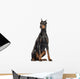 Doberman Pinscher sitting, looking away, isolated on white Wall Decal