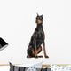 Doberman Pinscher sitting, looking away, isolated on white Wall Decal