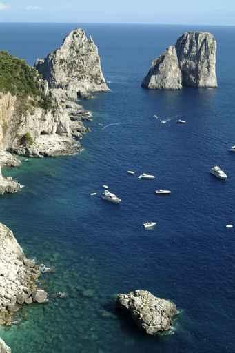Capri Wall Decal Design 1