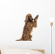 Irish Setter sitting, pawing up, isolated on white Wall Decal