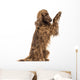 Irish Setter sitting, pawing up, isolated on white Wall Decal