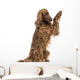 Irish Setter sitting, pawing up, isolated on white Wall Decal