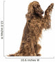 Irish Setter sitting, pawing up, isolated on white Wall Decal