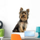 Yorkshire terrier sitting, looking at the camera, isolated 