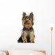Yorkshire Terrier Sitting, Isolated on White 