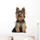 Yorkshire Terrier Sitting, Isolated on White 